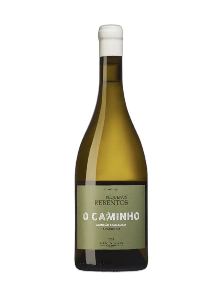 Pequenos Rebentos O Caminho